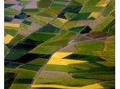 droits propriété, d’investissements