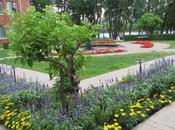 Pays Etranger Manoir Rouville Campbell