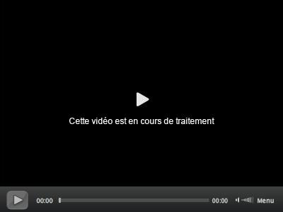 La belle vie d'un député européen