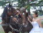blog-mariage-toulouse-sud-ouest-transport-ecolo