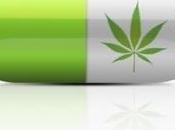 CANNABIS Pourquoi soulage vraiment l’inflammation intestinale