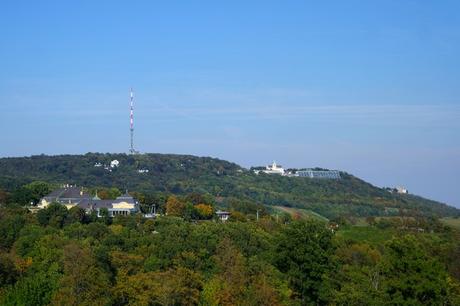 vienne weinwandertag randonnée vignes döbling kahlenberg neustift nussdorf