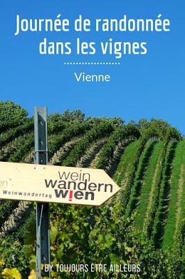 Une activité insolite à Vienne : la journée de randonnée dans les vignes, pour partir à la découverte du vignoble viennois et ses producteurs. #Vienna #Wien #vineyard