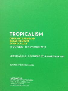 Galerie DOWNTOWN/PARIS  exposition « Tropicalism » Charlotte Perriand Oscar Niemeyer Zanine Caldas  11 Octobre-10 Novembre 2018