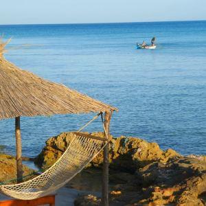 PARADIS DE LA TUNISIE