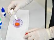 FERTILITÉ MASCULINE port caleçons associé meilleures chances conception