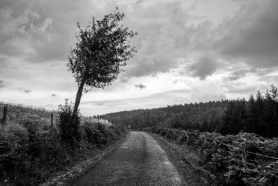 Sur les routes cévenoles en noir et blanc