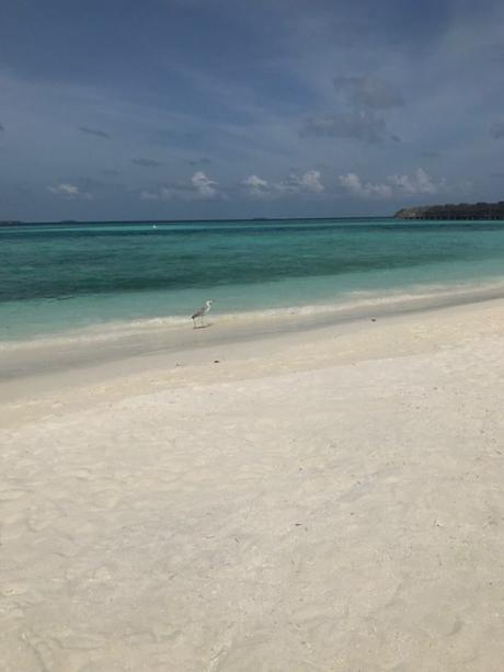 1000 bonnes raisons d’aller à ANANTARA KIHAVAH MALDIVES VILLAS et NALADHU PRIVATE ISLAND