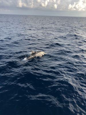 1000 bonnes raisons d’aller à ANANTARA KIHAVAH MALDIVES VILLAS et NALADHU PRIVATE ISLAND