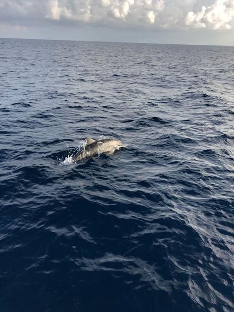 1000 bonnes raisons d’aller à ANANTARA KIHAVAH MALDIVES VILLAS et NALADHU PRIVATE ISLAND