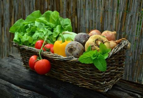 Qui est le biologiste Jean Seignalet à qui l’on doit la Nutrition Seignalet ? Qui est le biologiste Jean Seignalet à qui l’on doit la Nutrition Seignalet ?