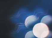 Mutual Benefit Thunder Follows Light