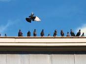 Ateliers Claus, Saint-Gilles, septembre 2018!