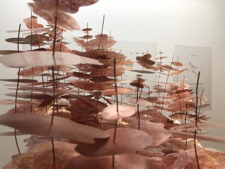 BULB : Rising Waters – Shiping Our Gardens, Street and urban valleys BULB : Rising Waters – Shiping Our Gardens, Street and urban valleys