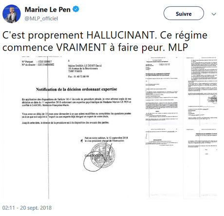 examen psychiatrique de M. Le Pen : pour quoi faire ? #RN examen psychiatrique de M. Le Pen : pour quoi faire ? #RN
