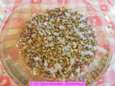 Galettes quinoa-lentilles-chou-noix (Vegan)