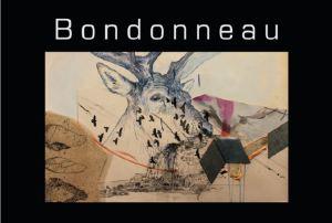 Galerie GNG exposition Guillaume Couffignal -Benjamin Bondonneau – à partir du 30 Octobre 2018