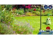 Pokémon nouveau découvert