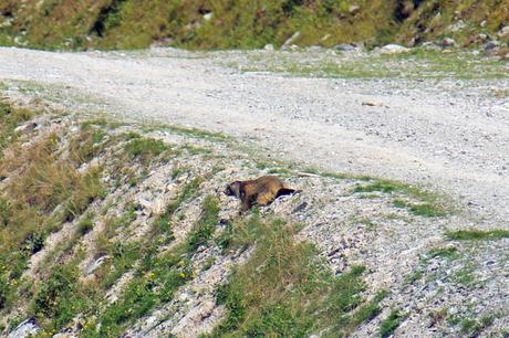 Les Arcs © French Moments