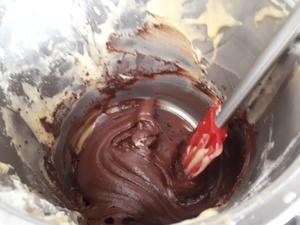 Savane cacao et vanille