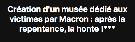Le Président Macron ne préside pas, il parade…