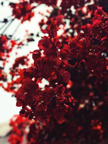 Welcome autumn. Welcome autumn.