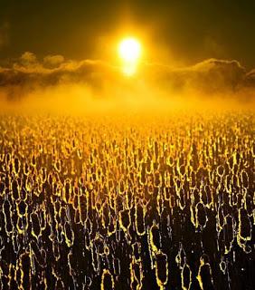 Le début de la Libération passe par la connaissance de soi...