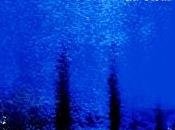 Philippe Leuckx, long sillage cœur Angèle Paoli