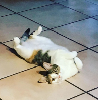 Capture d_écran 2018-09-23 à 16.30.53