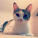 Capture d_écran 2018-09-23 à 16.31.20