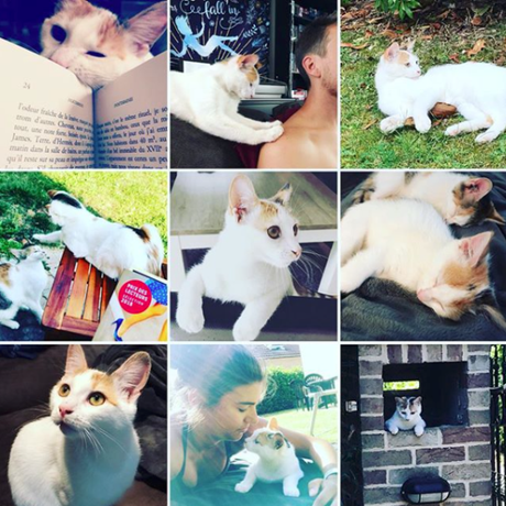 Anniversaire de ma star Bookstagram #Cat&Books
