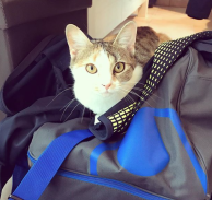 Capture d_écran 2018-09-23 à 16.30.46