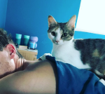 Capture d_écran 2018-09-23 à 16.31.27