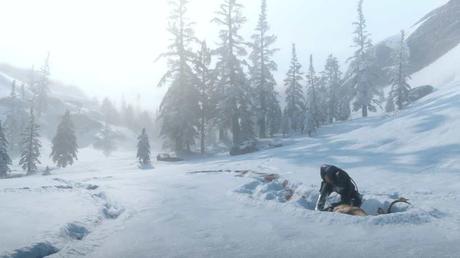 Tout savoir sur les animaux, la chasse et la pêche dans Red Dead Redemption 2 Guide Les Animaux dans Red Dead Redemption Chasse et pêche 2