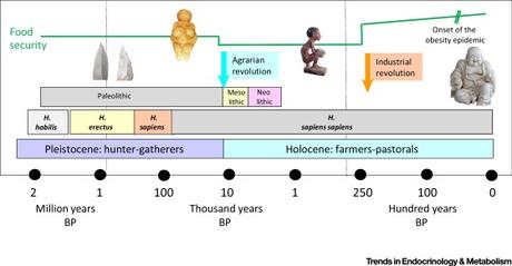 #trendsinendocrinologyandmetabolism #obésité #évolution Epidémie d'Obésité: Perspective Evolutionnaire