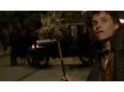 Animaux Fantastiques nouvelle bande-annonce confirme théorie majeure