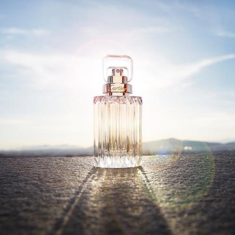 Expérience sensorielle autour du parfum Cartier Carat Expérience sensorielle autour du parfum Cartier Carat
