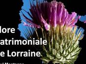 Paysages flore patrimoniale Lorraine