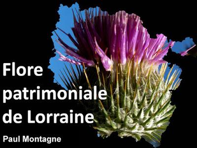 Paysages et flore patrimoniale de Lorraine