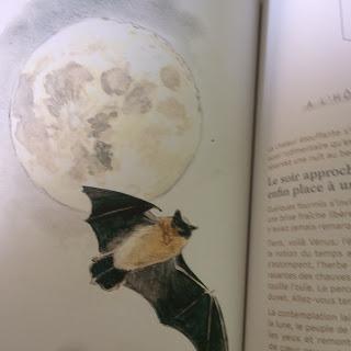 Agenda de la nature au jardin 2019