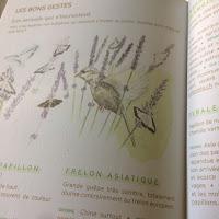 Agenda de la nature au jardin 2019