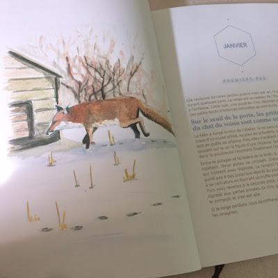 Agenda de la nature au jardin 2019