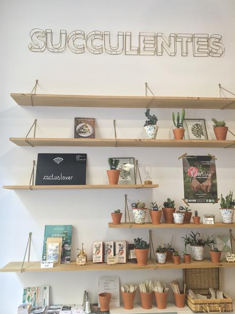 Les Succulentes café | Marseille 6ème