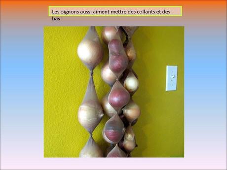 Divers - finis les légumes qui pourrissent - 1