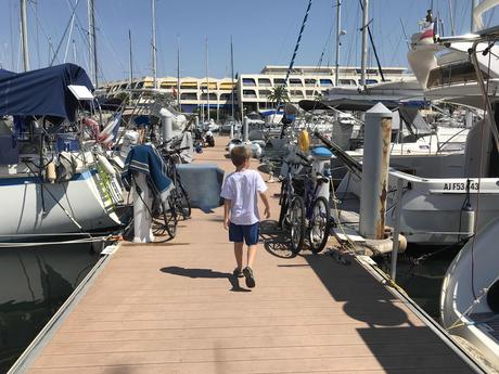 Souvenirs de Port Camargue - carte postale estivale