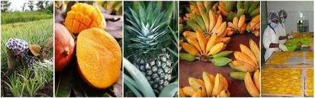 Fruits Séchés du Togo - Ananas Mangues Bananes - AshantisBoutik | Idées Cadeaux | Quoi offrir à sa maman