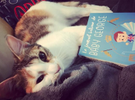 Capture d_écran 2018-09-13 à 18.25.37