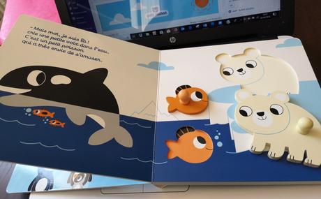 Attrape-moi, petit ours ! de Marion Billet