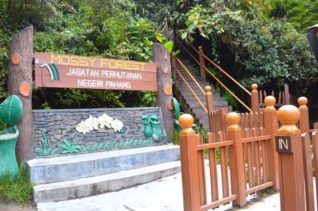 Escapade de 2 jours dans les Cameron Highlands Escapade de 2 jours dans les Cameron Highlands