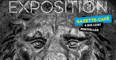 Montpellier | Exposition Photo « Pierres Vivantes » de Jean-François Rémy